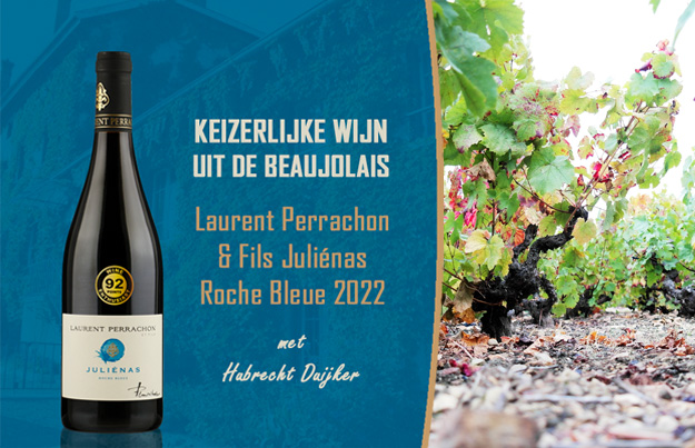 Keizerlijke wijn uit de Beaujolais: Juliénas Roche Bleue