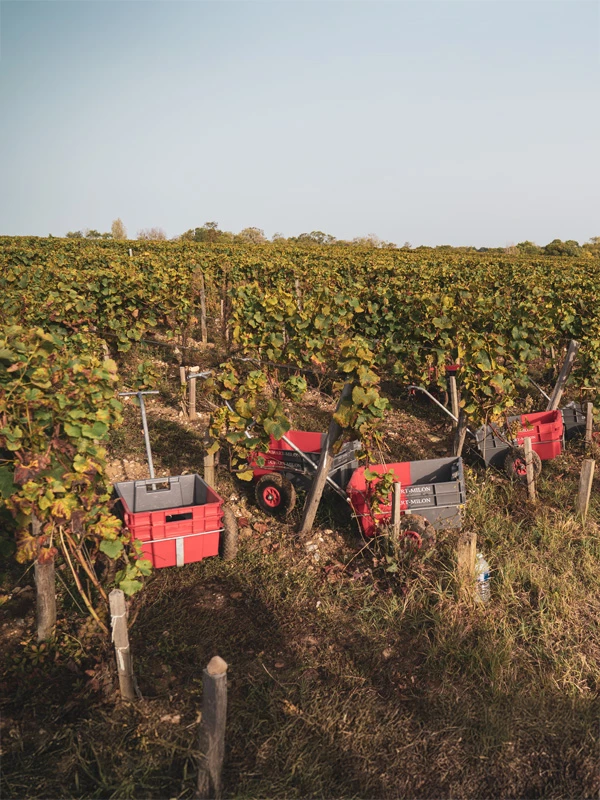 Moulin de Duhart 2020 sfeer 1